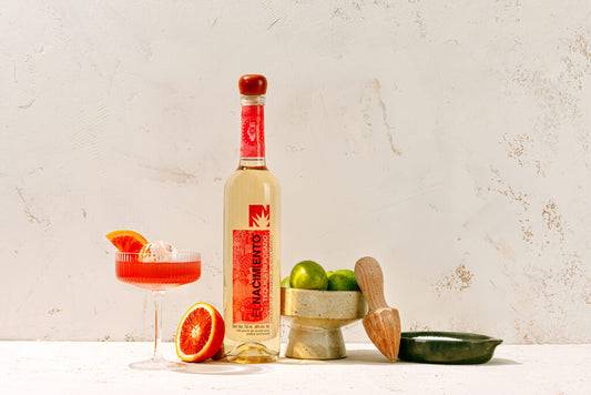 The Classic Paloma